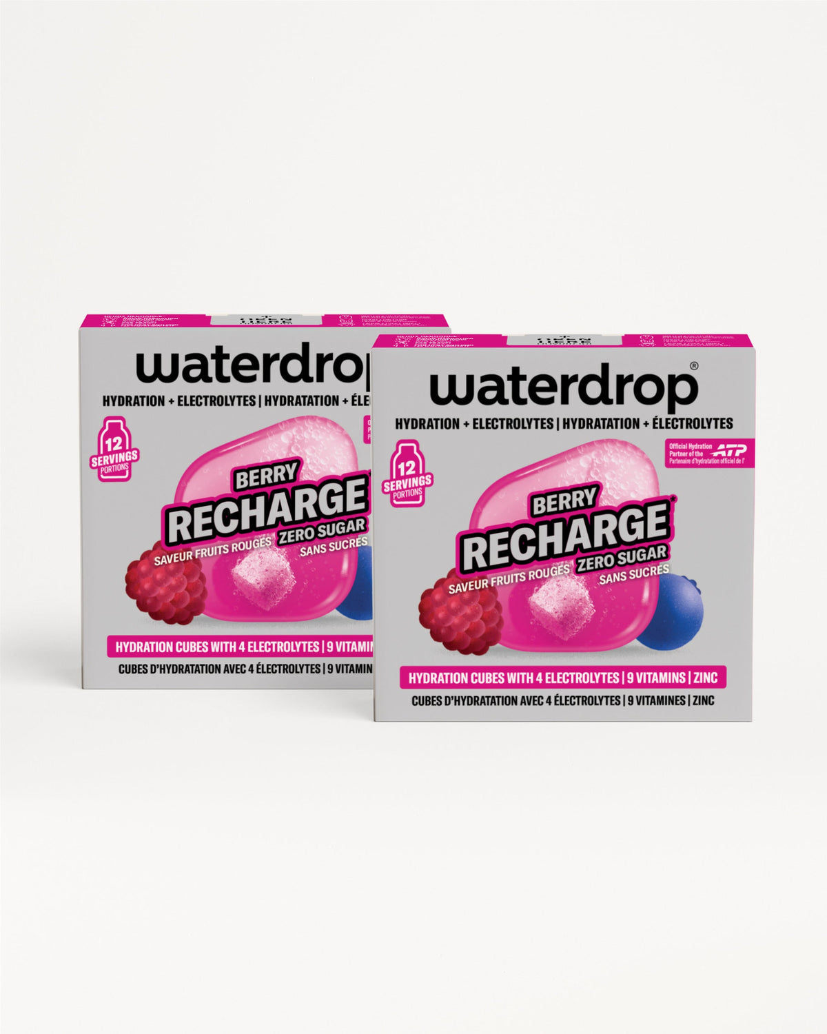 Double Pack Microlyte RECHARGE