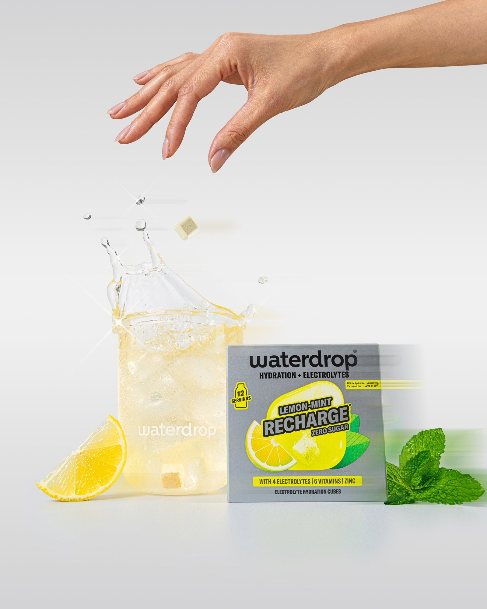 CITRON-MENTHE RECHARGE
