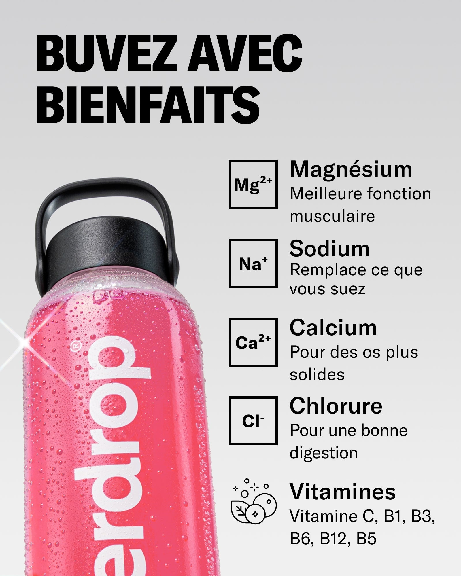FRUITS ROUGES RECHARGE