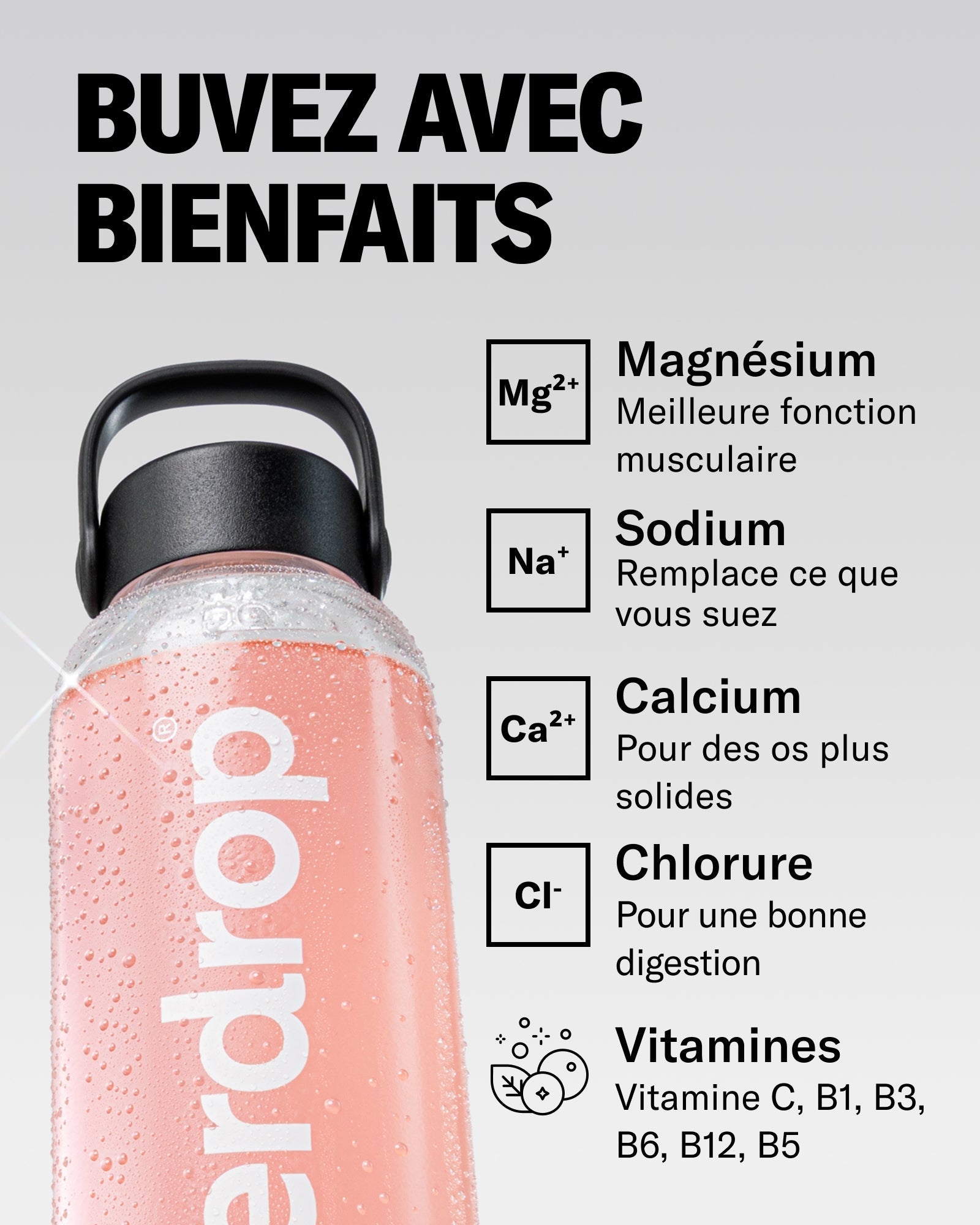 FRAISE RECHARGE